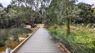 Warriparinga/ Sturt River Wetlands Reserve