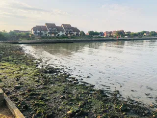 Shingle Beach