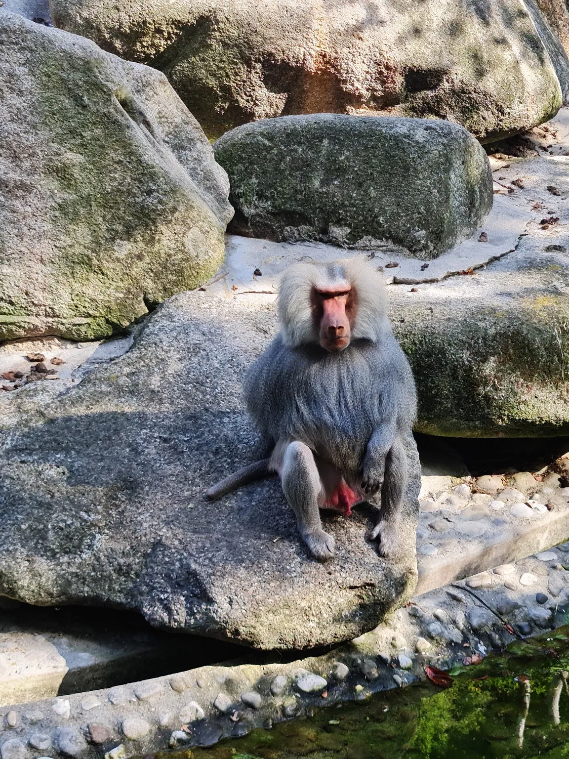Hellabrunn Zoo