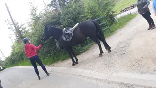 Stajnia Podolin - Agnieszka Bekus