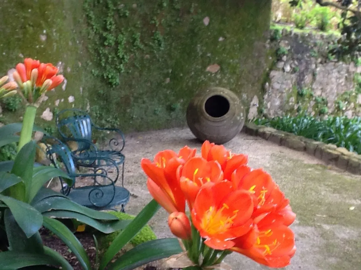 Quinta da Alegria Garden