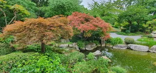 Japanese Garden