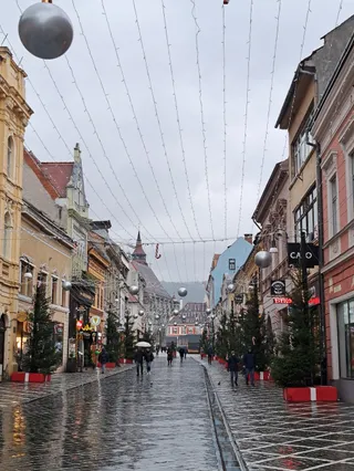 Day Trips Brasov