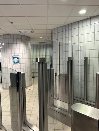 Suzanne Berlioux swimming pool