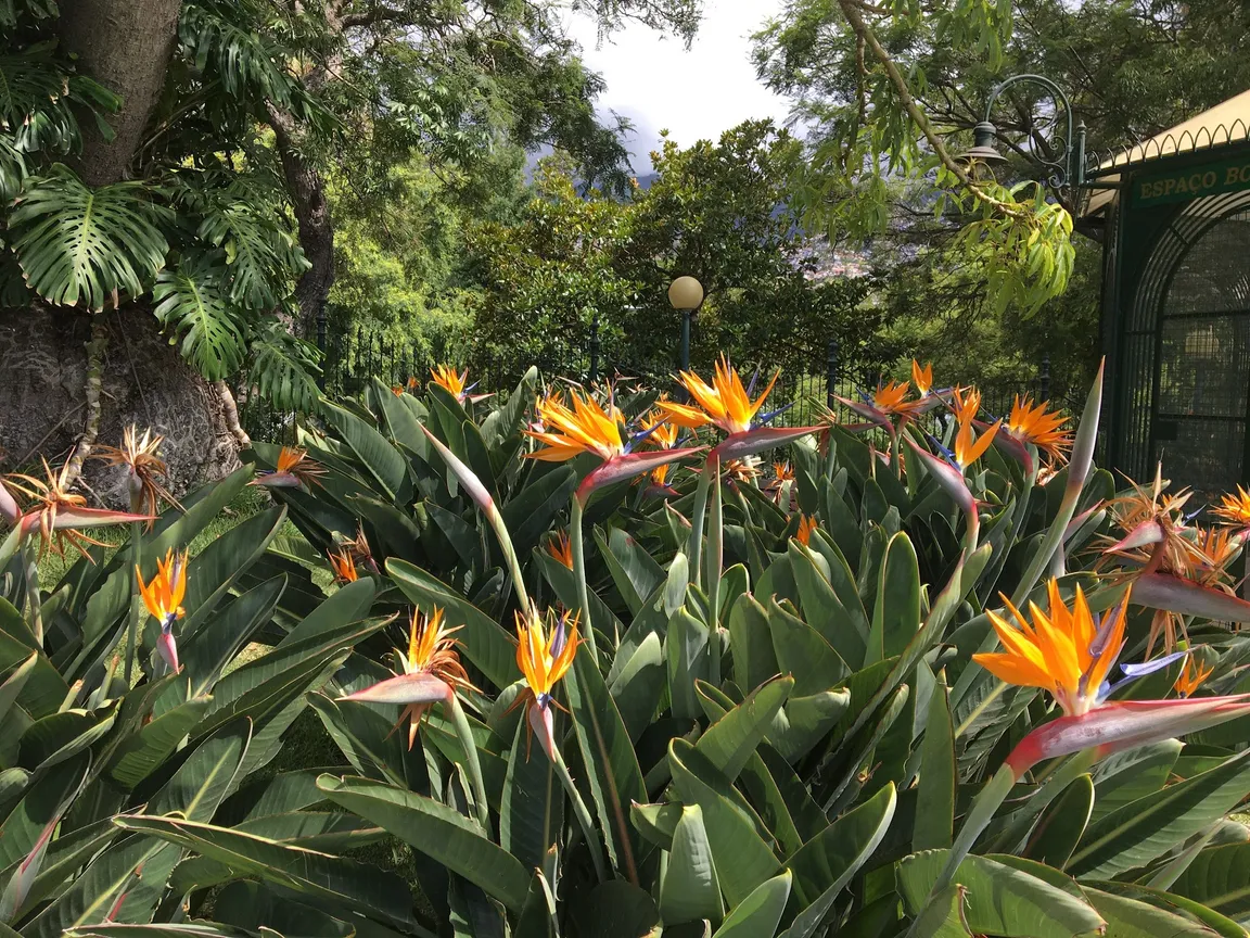 Parque de Santa Catarina