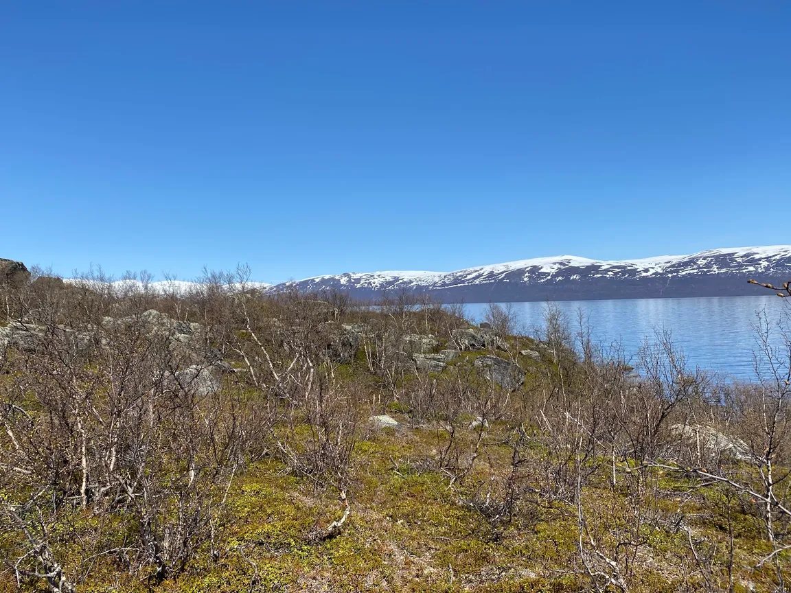 Park Narodowy Abisko