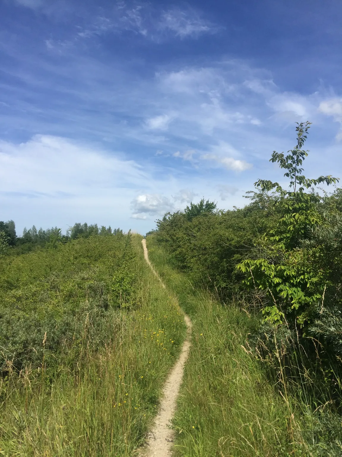Hedeland Naturtrail