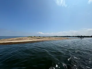 Rejsy na Foki - Wyspa Sobieszewska TRAFF