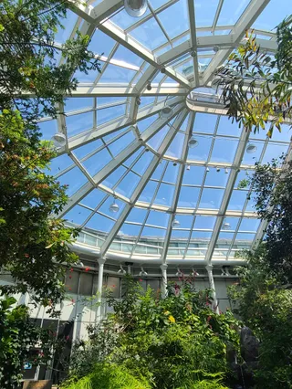 Detroit Zoo Butterfly Garden