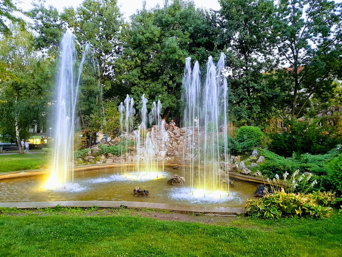 Doctors' Garden