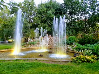 Doctors' Garden