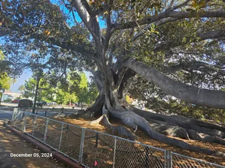 Santa Barbara Trolley