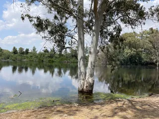 Athalassa National Forest Park