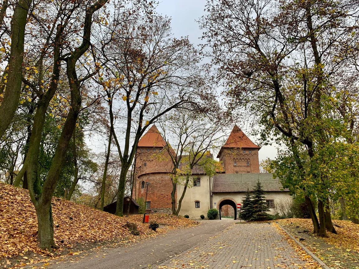 Zamek krzyżacki w Nidzicy (warmińsko-mazurskie)