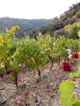 Antigua Real Fábrica de Hojalata San Miguel