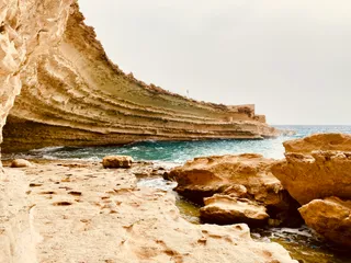 Xrobb l-Għaġin