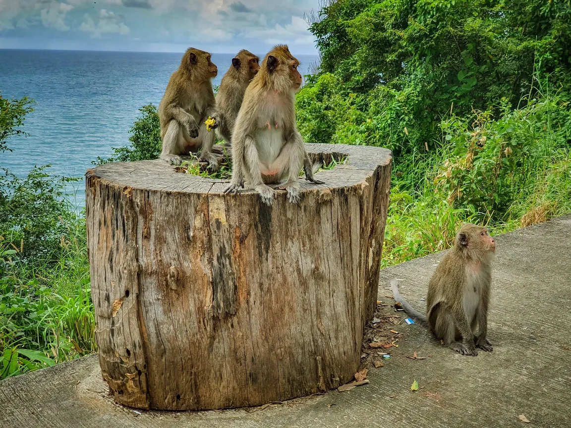 View point
