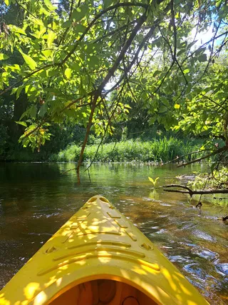 Hamak • Kajaki Pomiechówek • Spływy Kajakowe • Wkra • Narew