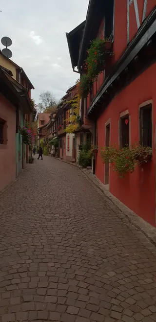 Salzmann-Thomann Pierre