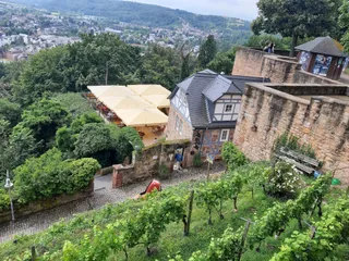 Bückingsgarten