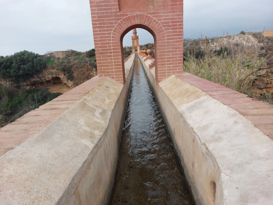 Aqueduct Eagle