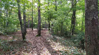 Irmak Nature Park
