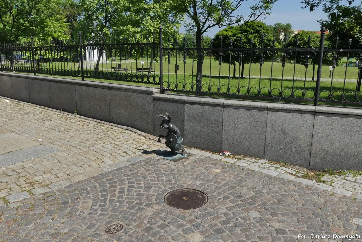 Królik Woj Piastowski