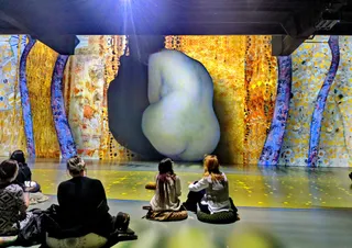 Museum of Immersive New Art, MINA