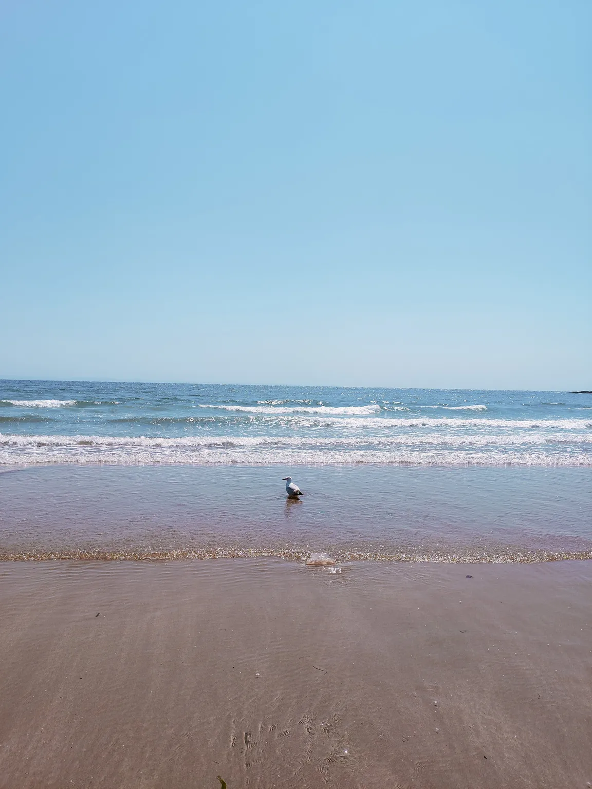 Langland Bay