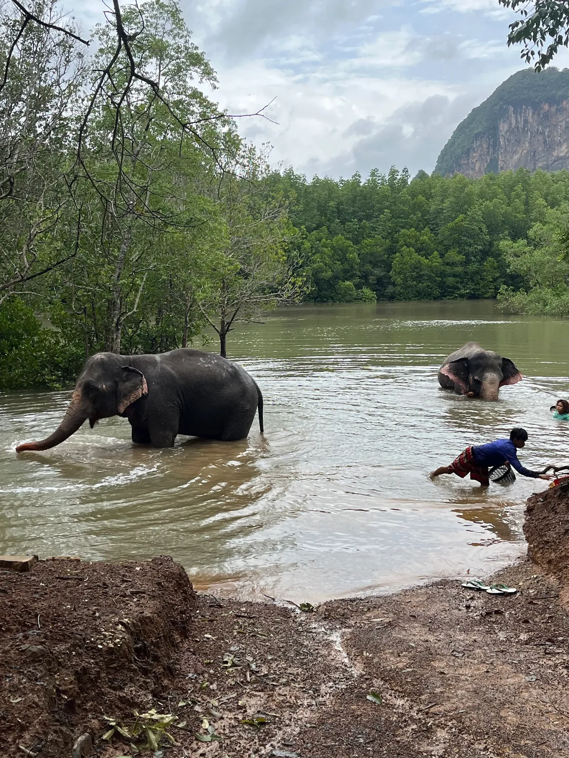 Krabi Elephant Shelter