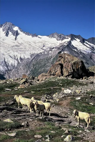 Berliner Höhenweg
