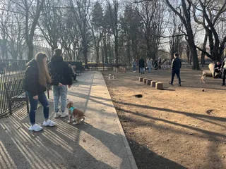 Wybieg dla psów