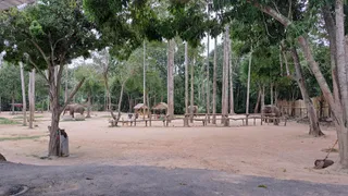 Phangan Elephant Sanctuary