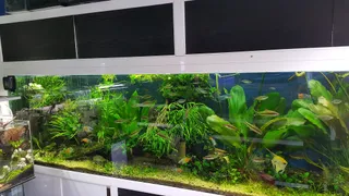 AquaMakerBG