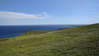 RSPB Dunnet Head