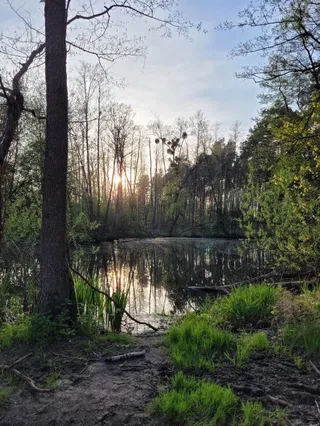 Polana wypoczynkowa Truskaw
