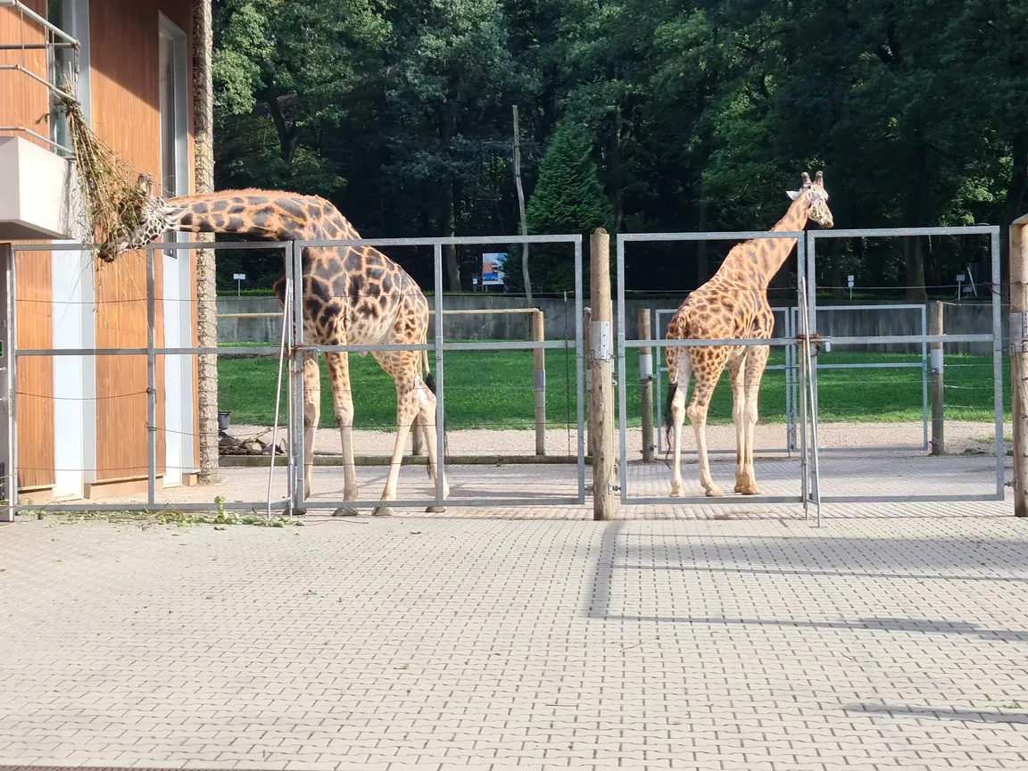 Ogród Zoologiczny w Krakowie
