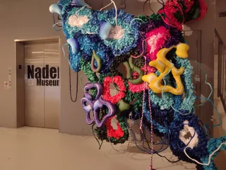 Nader Museum