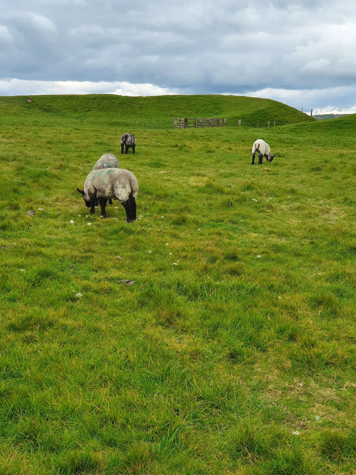Maiden Castle