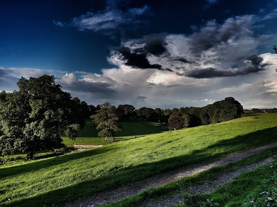 Yeovil Country Park