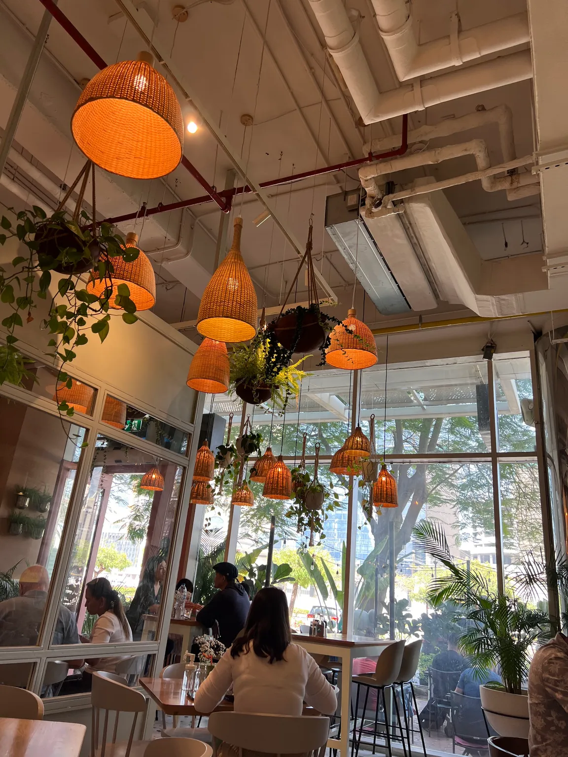 Arrows and Sparrows Cafe