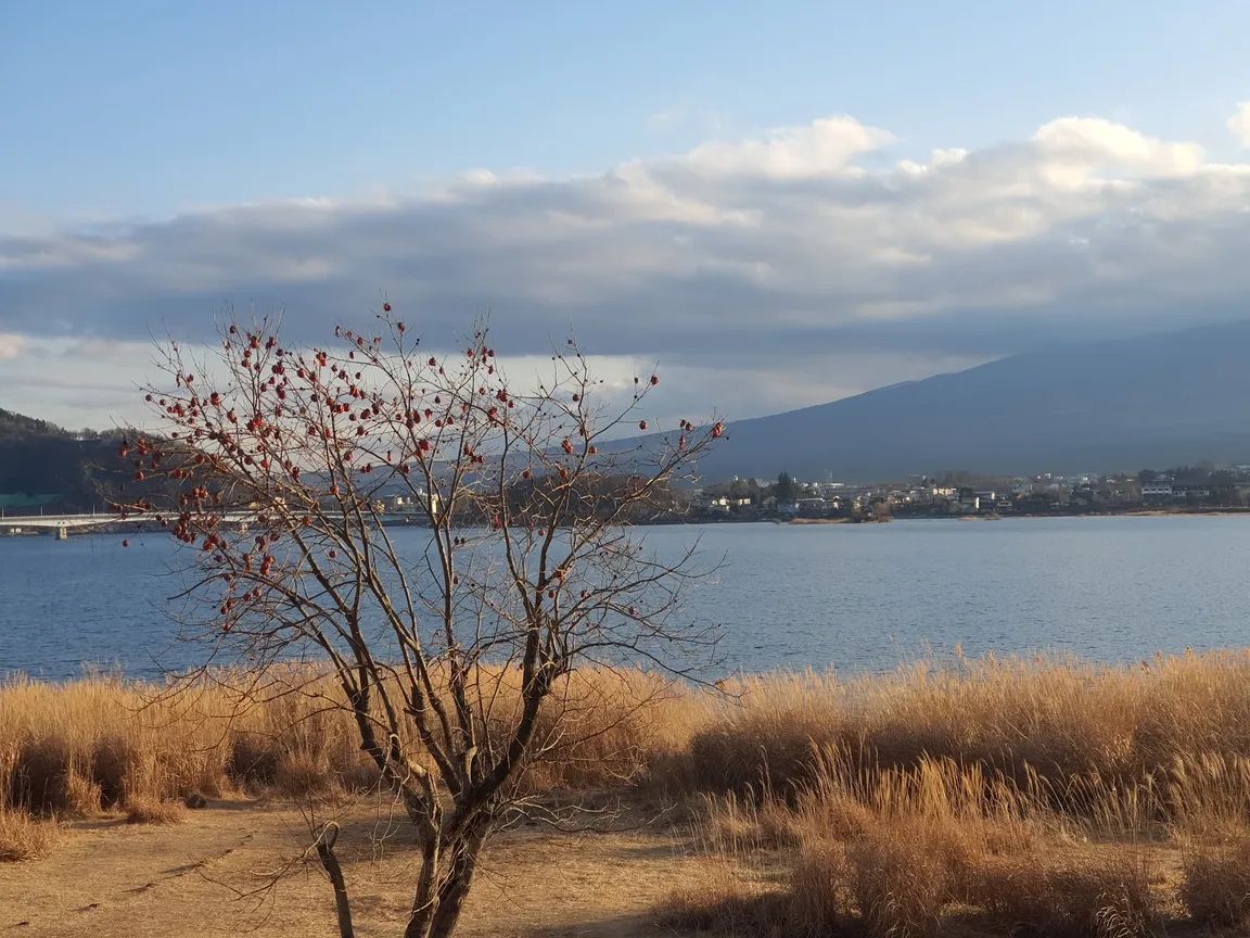 Nagasaki Park