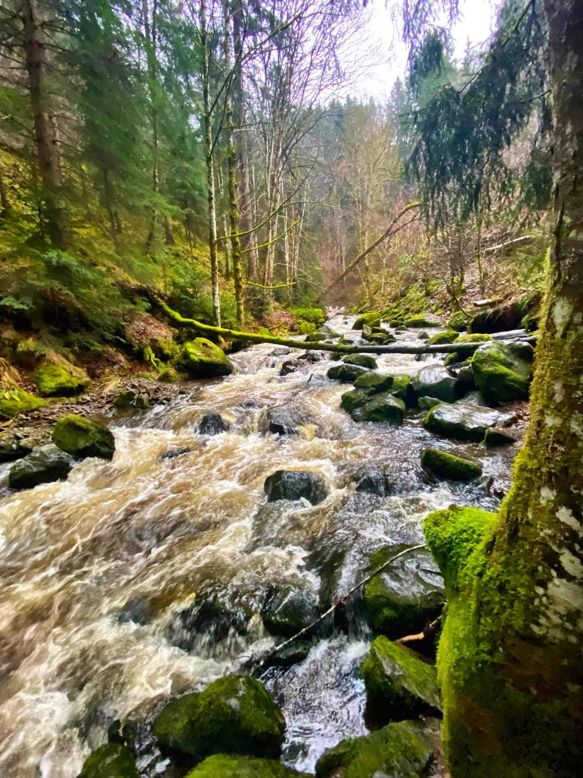 Alte Ravennabrücke