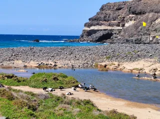 Puertito de los Molinos