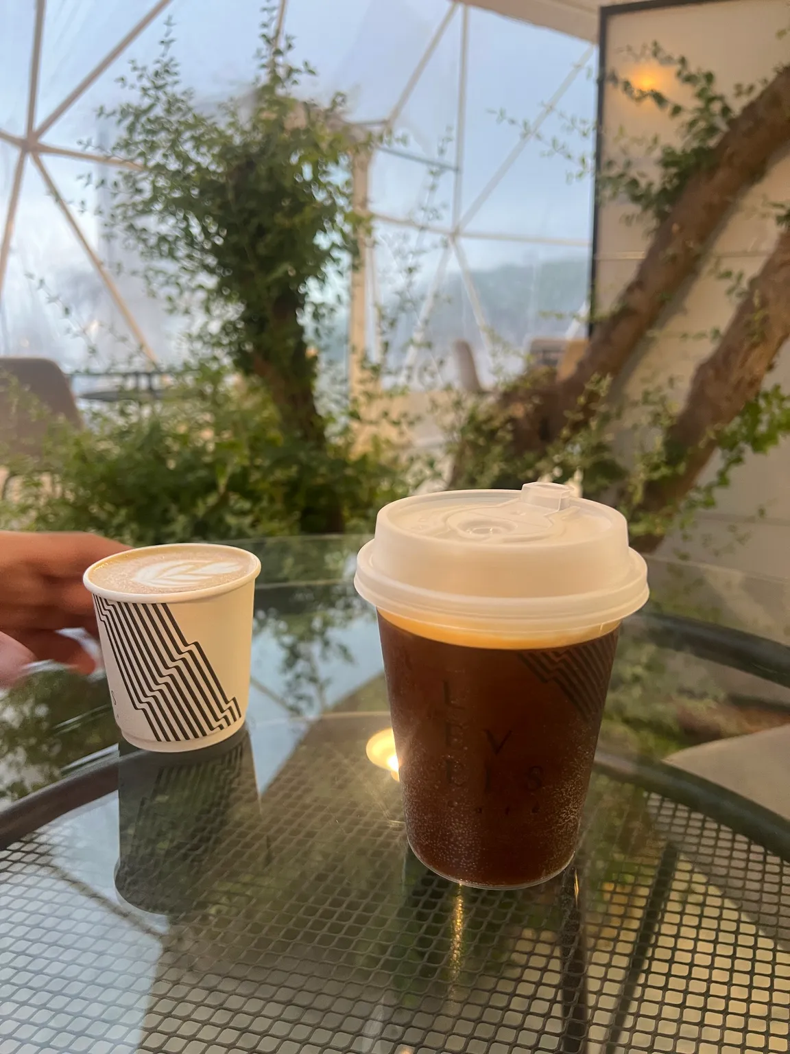 Levels Cafe Salalah