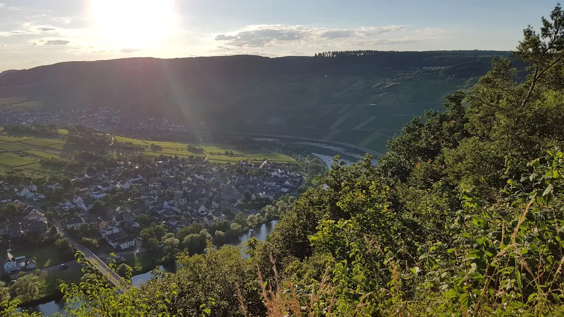 Mosel Adventure Forest