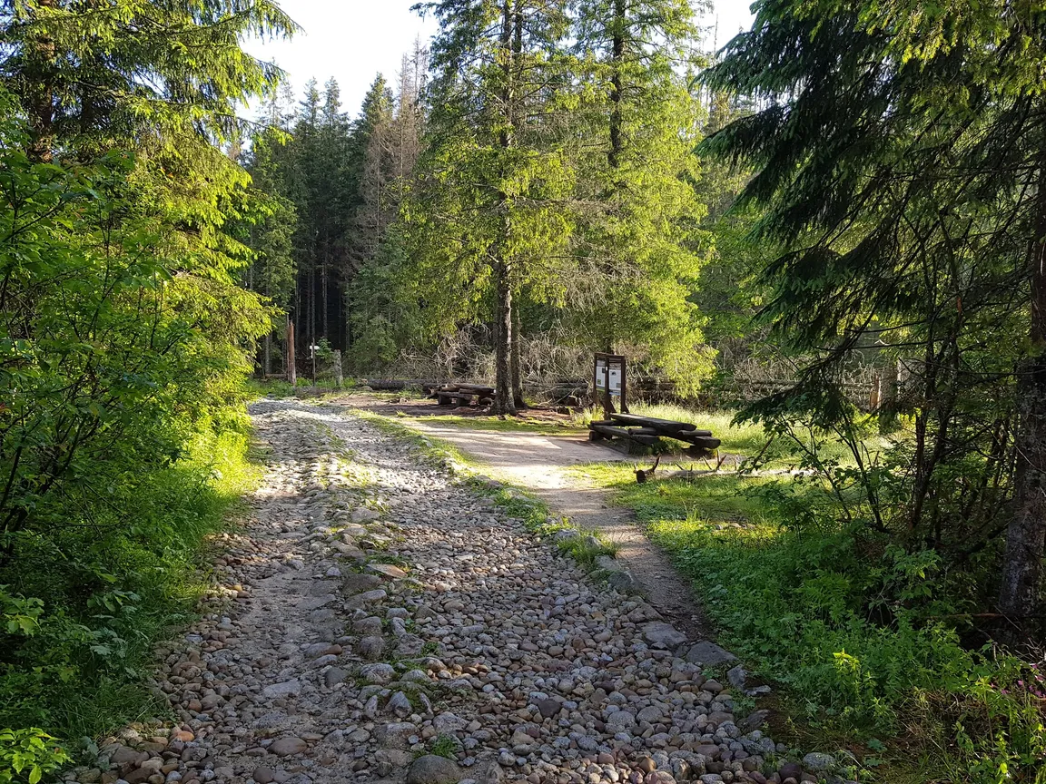 Psia Trawka
