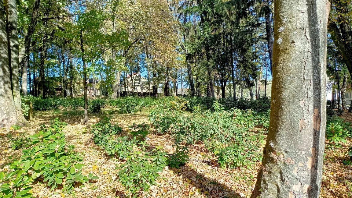 Park Miejski im. Rotmistrza Witolda Pileckiego