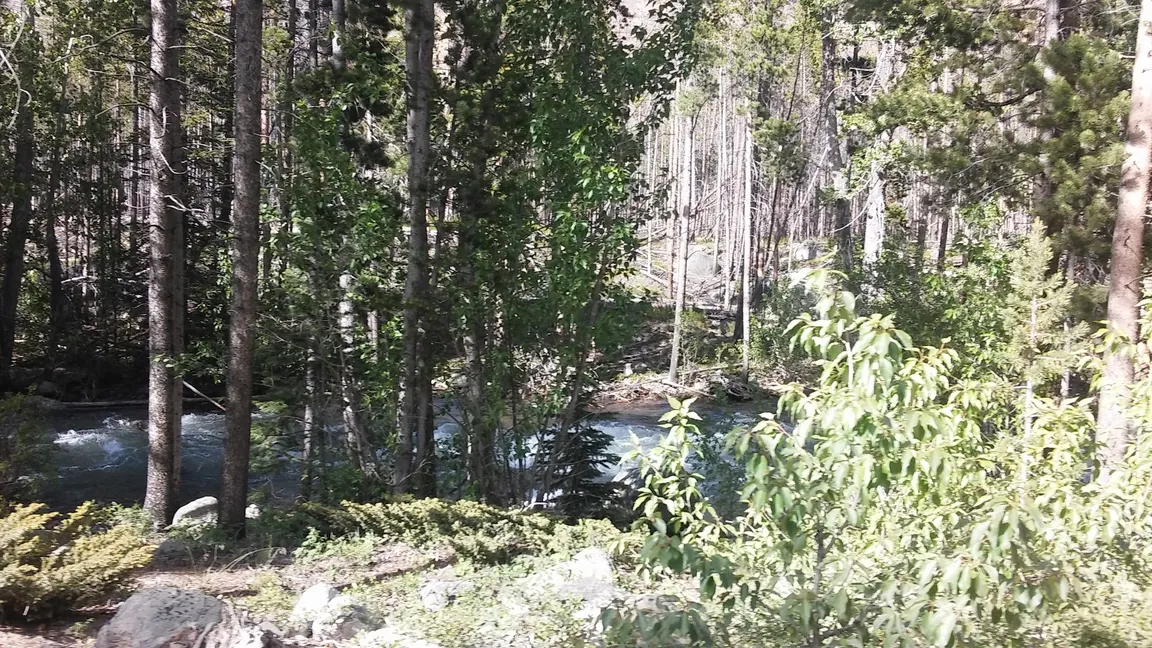 US Forest Service Beartooth Ranger Station