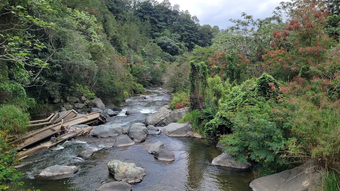 Sendero Natural Por La Rivera del Río Jimenoa
